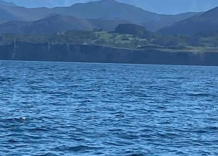 'socaire' Ribadesella