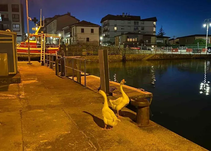 'socaire' * Ribadesella