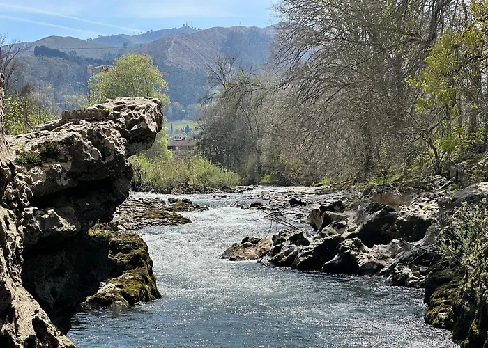 'socaire' Ribadesella